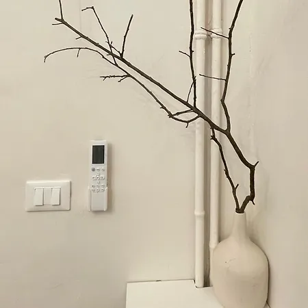 Charm And History In The Center Of * Turin